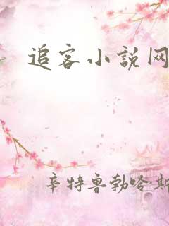 追客小说网