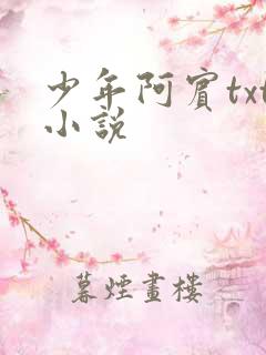 少年阿宾txt小说