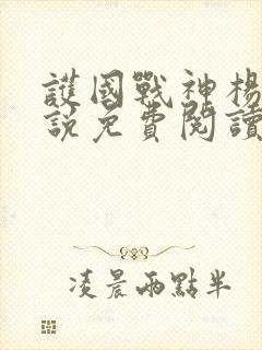 护国战神杨风小说免费阅读