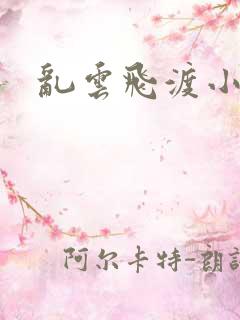 乱云飞渡小说