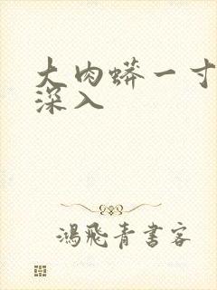 大肉蟒一寸寸地深入