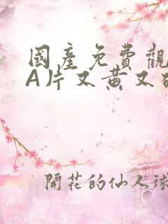 国产免费观看黄A片又黄又硬小说