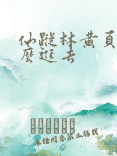 仙踪林黄页网怎么进去