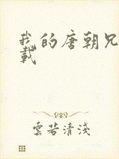我的唐朝兄弟下载