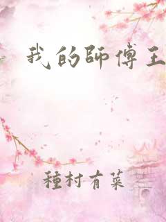 我的师傅王语嫣