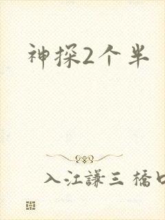 神探2个半
