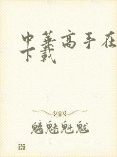 中华高手在异世下载