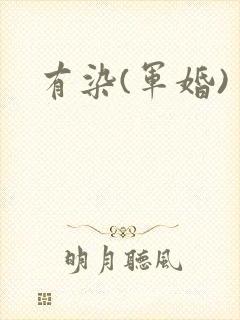 有染(军婚)
