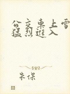 公交车上雪柔被猛烈进入