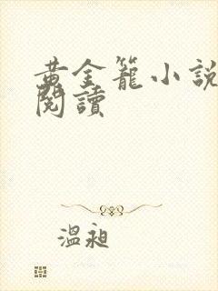 黄金笼小说免费阅读