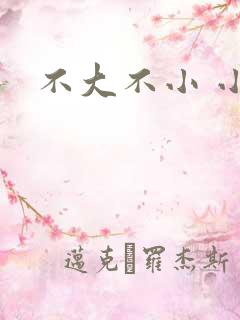 不大不小 小说
