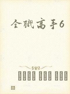 全职高手6
