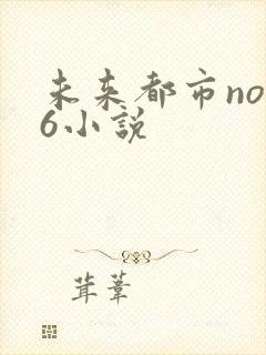 未来都市no.6小说