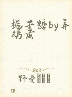 栀子糖by弄白鹅黄