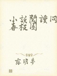 小说阅读网 青春校园