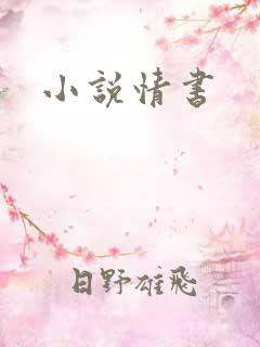 小说情书