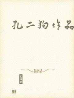 孔二狗作品