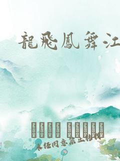 龙飞凤舞江一龙