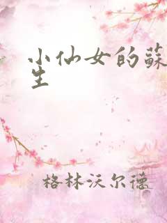 小仙女的苏撩先生