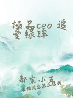 极品ceo 追爱绿眸