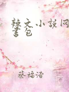 辣文小说网第二书包
