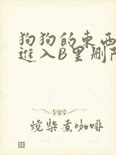 狗狗的东西直接进入B里删除