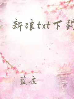 新浪txt下载