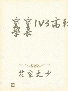 宝宝1V3高干学长