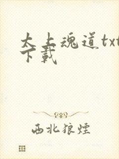 太上魂道txt下载