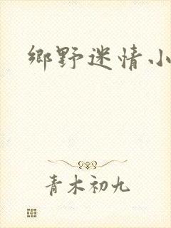 乡野迷情小村医