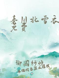 秦川北雪衣小说免费