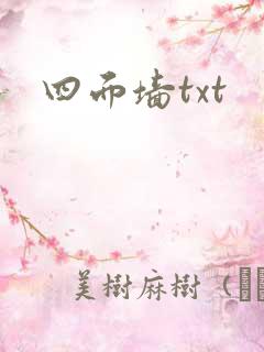 四面墙txt
