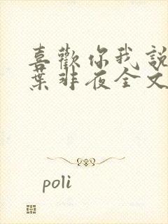 喜欢你我说了算叶非夜全文免费阅读