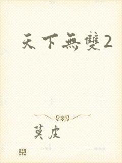 天下无双2