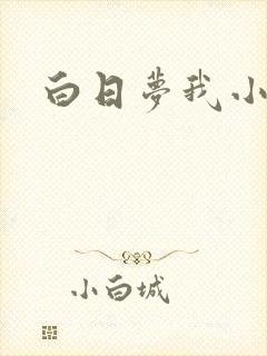 白日梦我小说