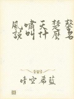 风啸天楚馨月小说叫什么名字