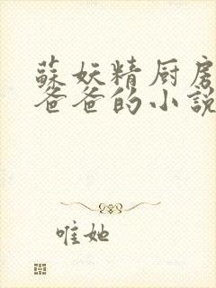 苏妖精厨房爹爹爸爸的小说