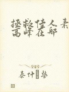 拯救佳人素柔 高峰在哪