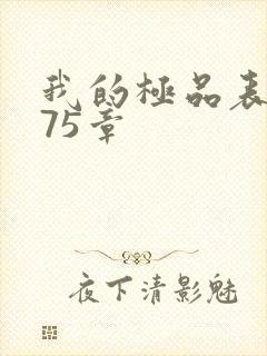 我的极品表嫂第75章