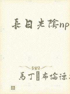 长日光阴np