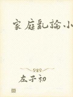 家庭乱论小说
