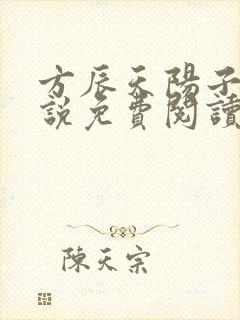 方辰天阳子的小说免费阅读