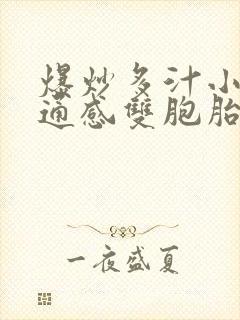 爆炒多汁小美人通感双胞胎燎锋