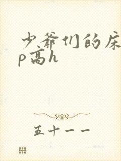 少爷们的床奴np高h