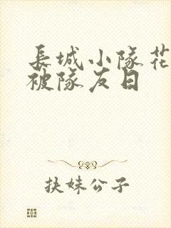 长城小队花木兰被队友日