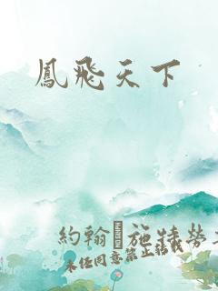 凤飞天下