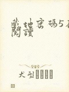 藏地密码5在线阅读