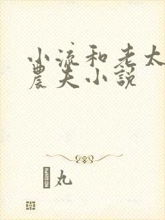 小流和老太69农夫小说