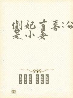 侧妃有喜:公主是小妾