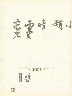 宋雨晴 赵小刚免费